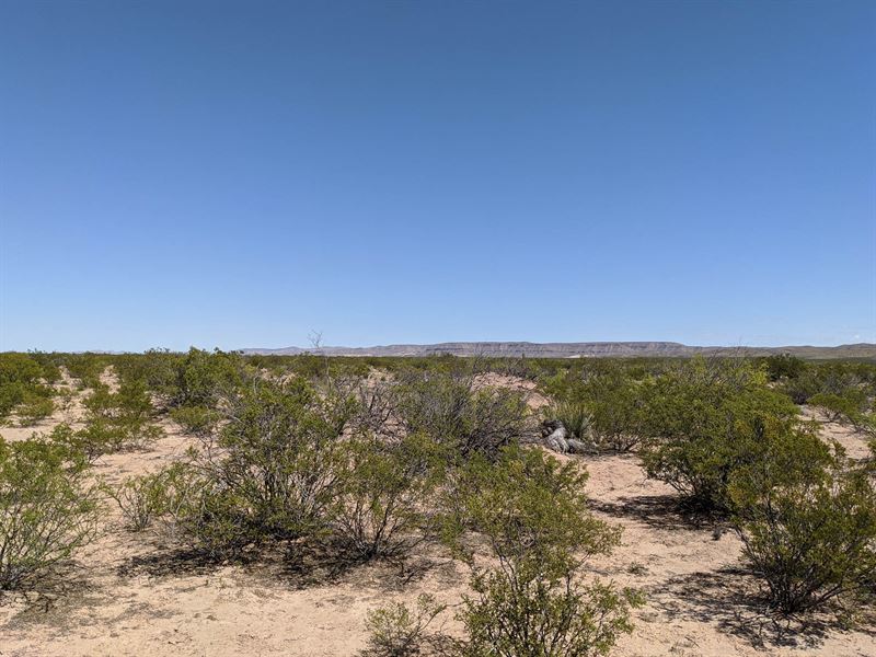 Live Like a Cowboy Just Outside TX : Agua Dulce : El Paso County : Texas
