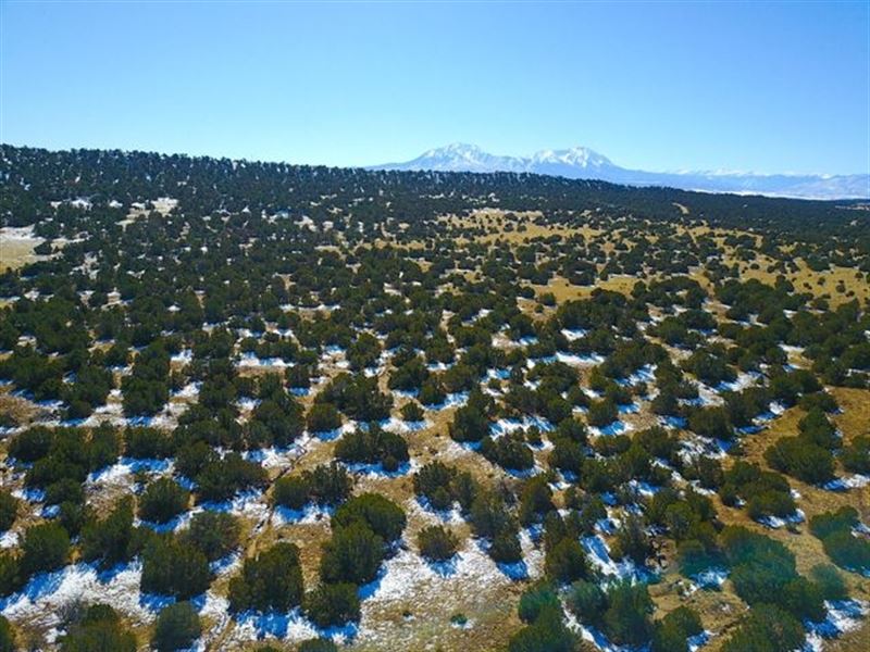 Tr 34 City Ranch, Walsenburg, Co 81 : Walsenburg : Huerfano County : Colorado