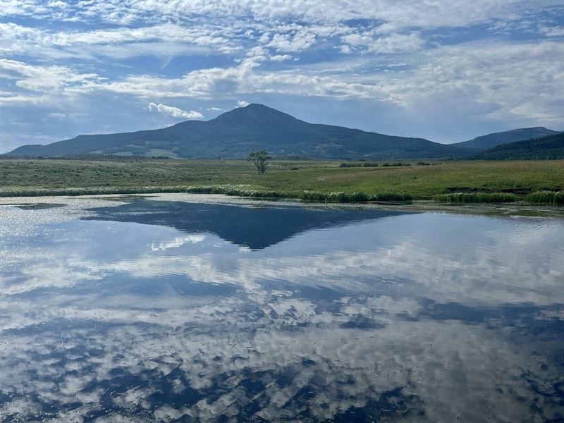 Beaver Mesa Livestock & Elk Ranch : Telluride : San Miguel County : Colorado