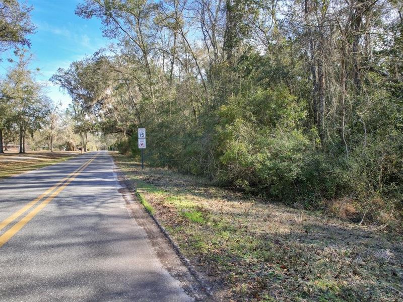 Polhill Subdivision Homesite : Perry : Taylor County : Florida