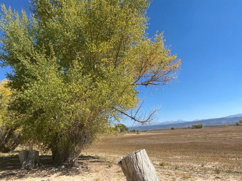 What Better Way to Invest : San Luis : Costilla County : Colorado
