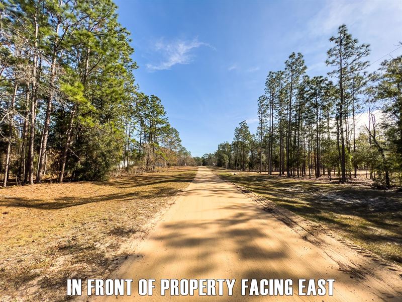 Owner Finance, 2 Acres, No Fz : Hawthorne : Alachua County : Florida
