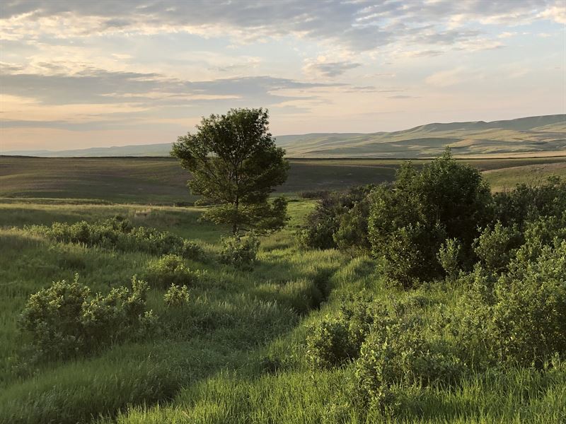 The Kilsdonk Ranch : Bainville : Roosevelt County : Montana
