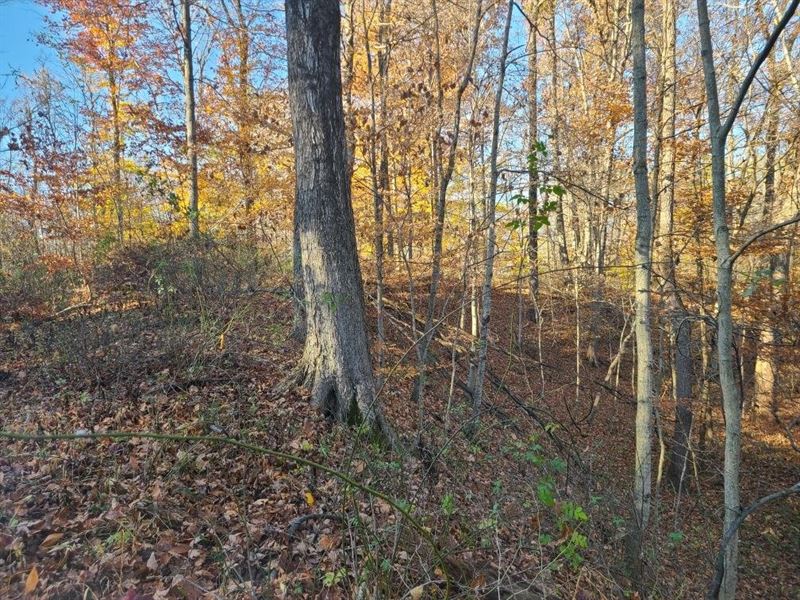Parke County 33 : Rockville : Parke County : Indiana