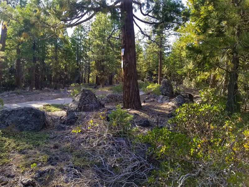Beautiful Bonanza's Five Acres : Bonanza : Klamath County : Oregon