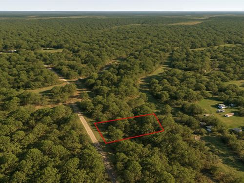 .41 Acre in Liberty, $200/Mo : Liberty : Texas