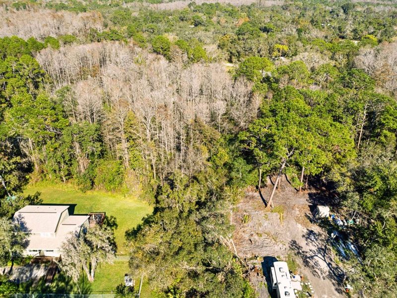 With Power & Gravel Road Access : New Port Richey : Pasco County : Florida