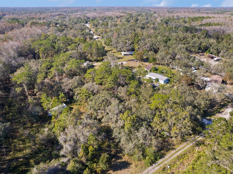 Corner Lot, Power, Gravel Road : New Port Richey : Pasco County : Florida