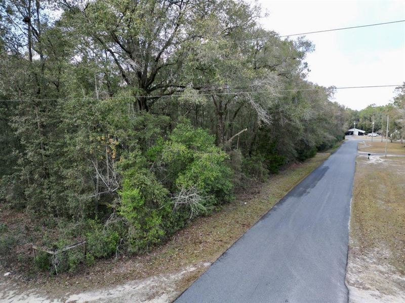 Northwood Acres : Mayo : Lafayette County : Florida