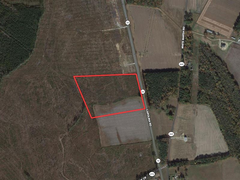 16.6 Acres of Cro : Suffolk : Suffolk County : Virginia