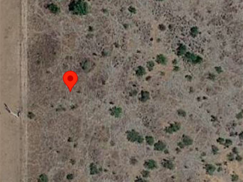 Easily Accessible 0.83 Desert Acre : Sunsites : Cochise County : Arizona