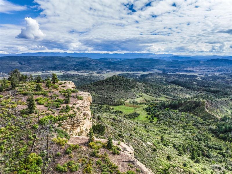 Pagosa Springs Ranch : Pagosa Springs : Archuleta County : Colorado