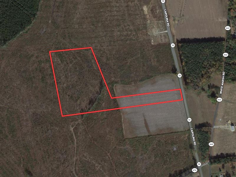 19 Acres of Crop : Suffolk : Suffolk County : Virginia
