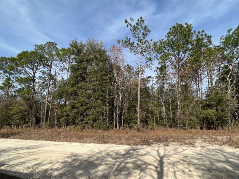Residential Lot in O'brien, FL : O'brien : Suwannee County : Florida