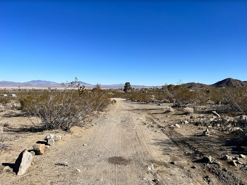 Get Into The California Mountains : Lucerne Valley : San Bernardino County : California