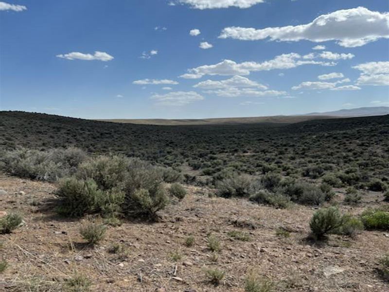 Mountain Retreat, Power, Stream : Deeth : Elko County : Nevada