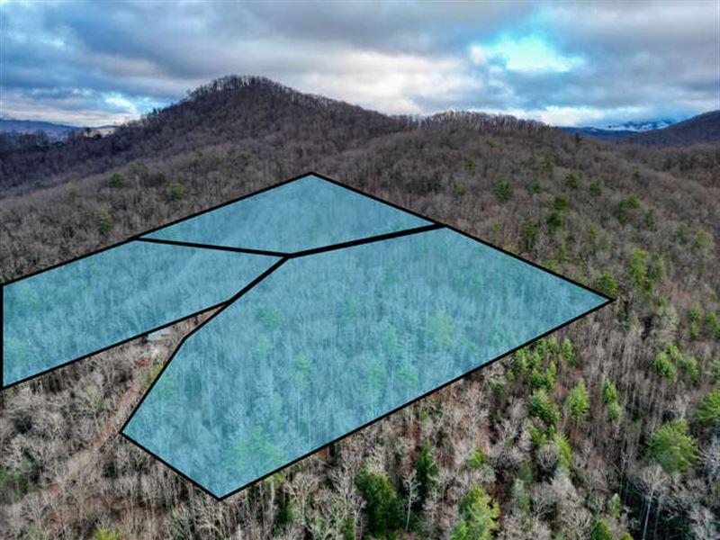 3 Combined Lots at End of Road : Blairsville : Union County : Georgia