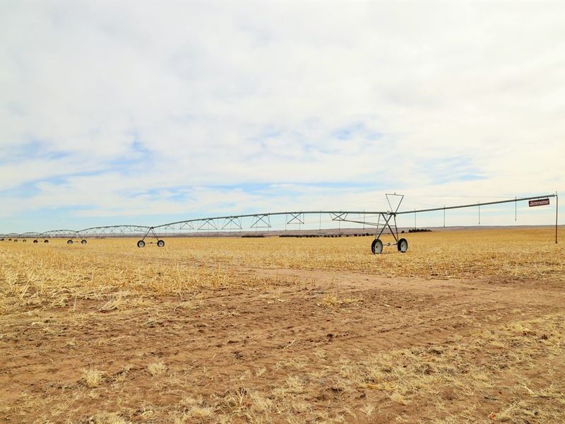 Northwest Ovid Pivots : Ovid : Sedgwick County : Colorado