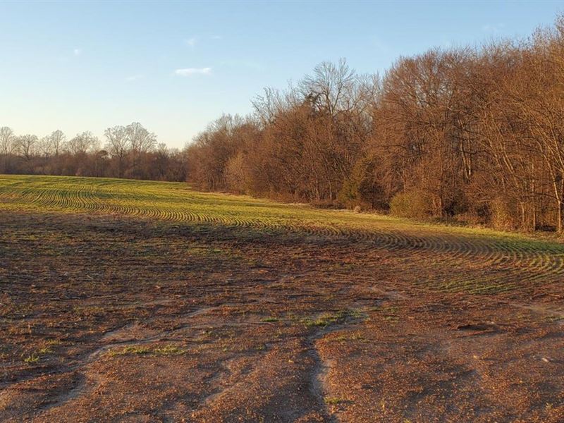 55.90 Acres Hobson Road : Cleveland : Rowan County : North Carolina