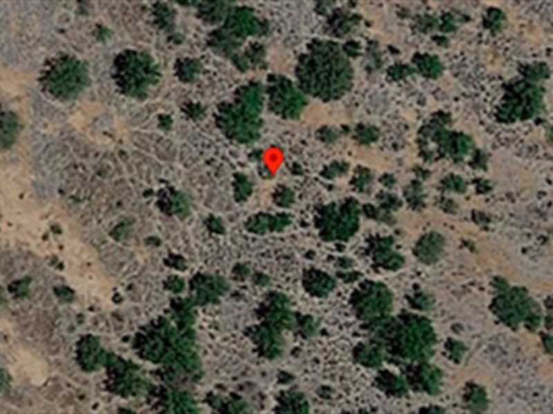 Beautiful 0.826 Winery Lot : Sunsites : Cochise County : Arizona