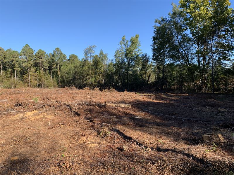 Sylvania Homeplace : Sylvania : Screven County : Georgia