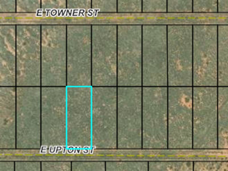 Wide Open 0.83 Acre Property : Sunsites : Cochise County : Arizona