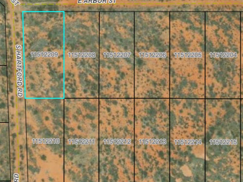 Nearly 1 Acre Vineyard Lot : Sunsites : Cochise County : Arizona