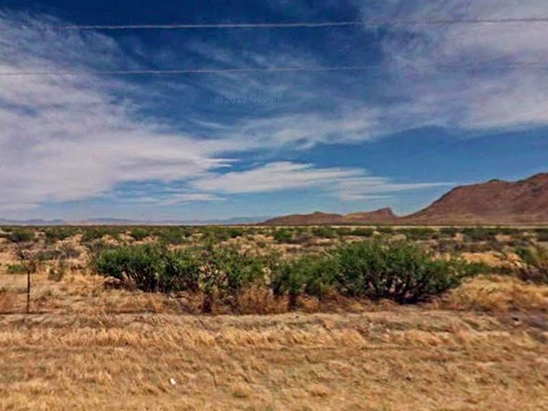Desert Farm Living Feel in AZ : Sunsites : Cochise County : Arizona