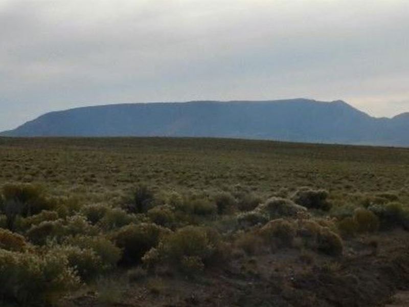 At Only $220 a Month It's a Steal : Sanford : Costilla County : Colorado