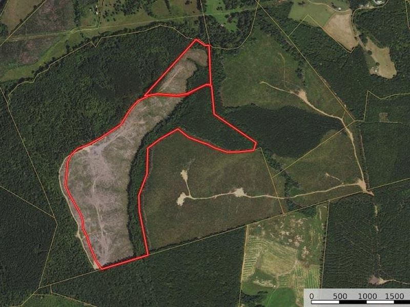 123.07 Acres : Gretna : Pittsylvania County : Virginia