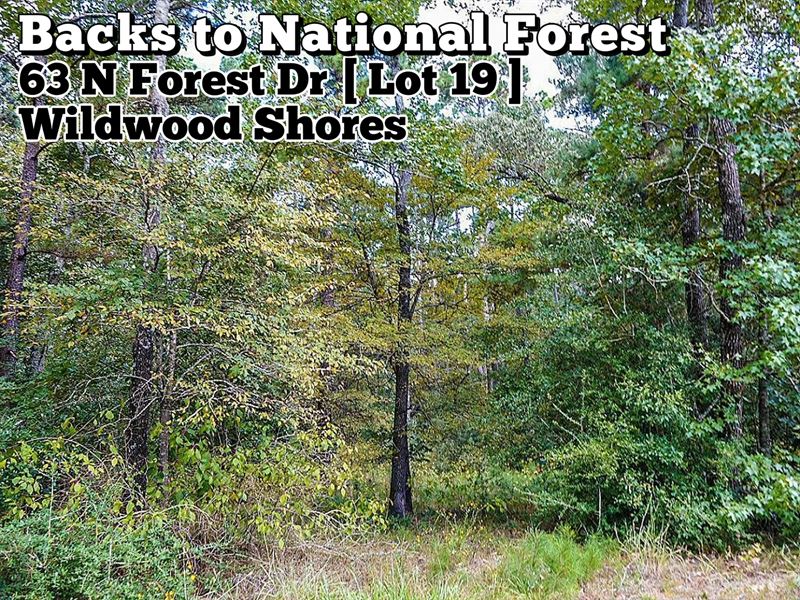 .13 Acre in Walker County : Huntsville : Walker County : Texas