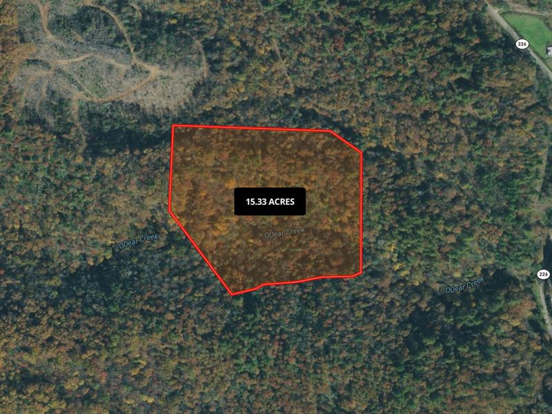 Gorgeous 15.33 Acres in Marion, NC : Marion : McDowell County : North Carolina