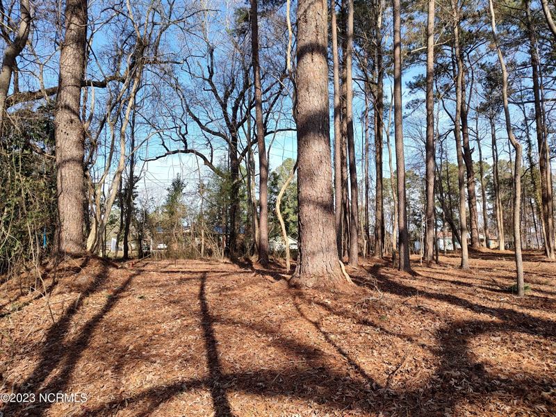 Land for Sale in Washington, NC : Washington : Beaufort County : North Carolina