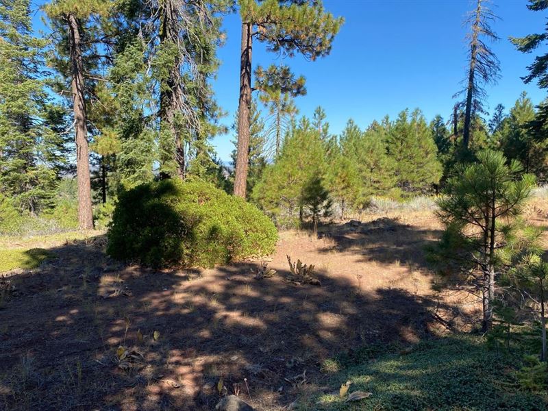 2.13 Acres for Sale in Alturas, CA : Alturas : Modoc County : California