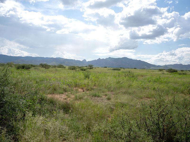 Find a Special Place in Your Heart : Pearce : Cochise County : Arizona