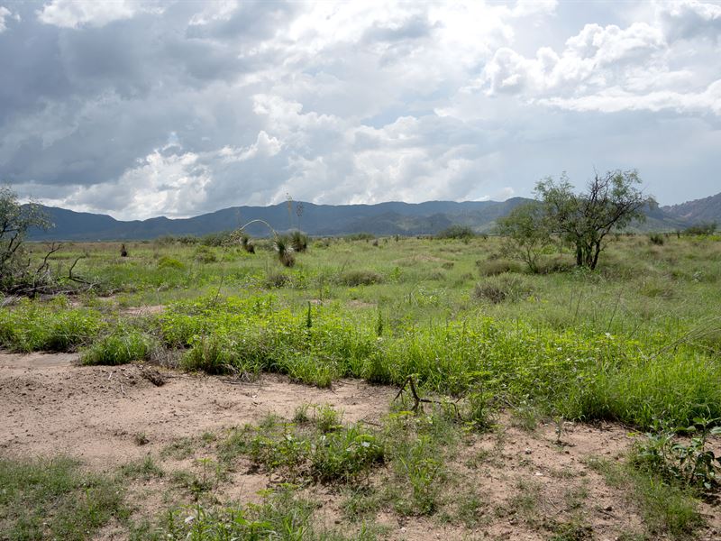 Keep a Land Seven Years Loved Dears : Pearce : Cochise County : Arizona