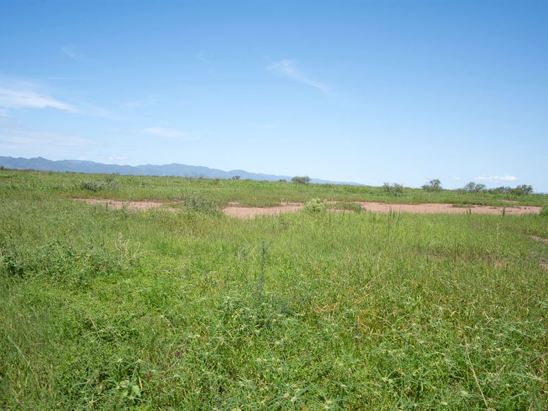 Need Land Owner Asap, 0.43 Ac in AZ : Douglas : Cochise County : Arizona