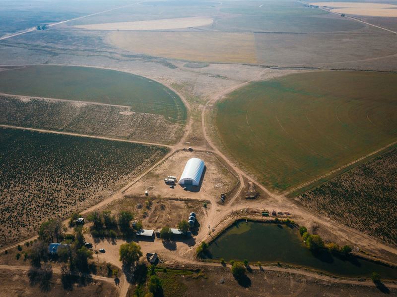 Vitality Farms : San Acacio : Costilla County : Colorado