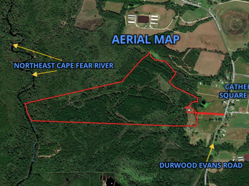 158.68 Acres : Beulaville : Duplin County : North Carolina