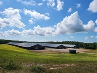 3 Broiler Mega Houses 66'X600' : Ranburne : Cleburne County : Alabama
