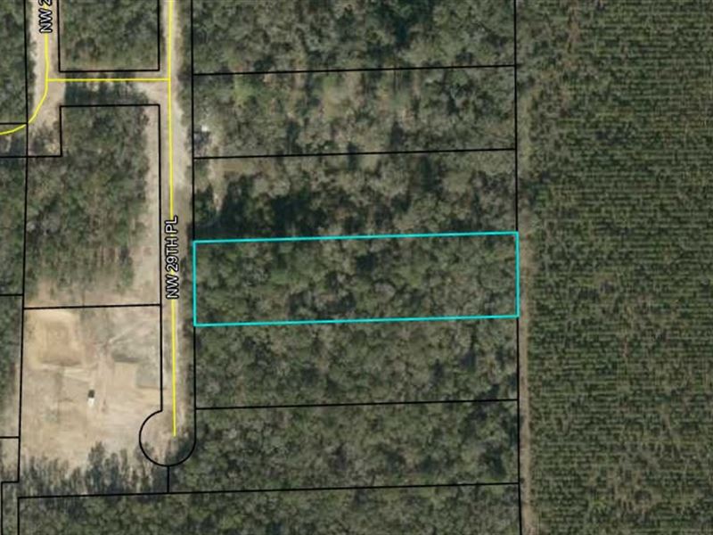 2 Acre Lot in Hamilton County : Jennings : Hamilton County : Florida