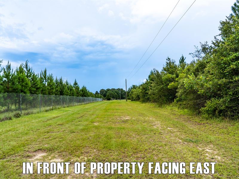 $15K Down, Private Large Acreage : Quincy : Gadsden County : Florida
