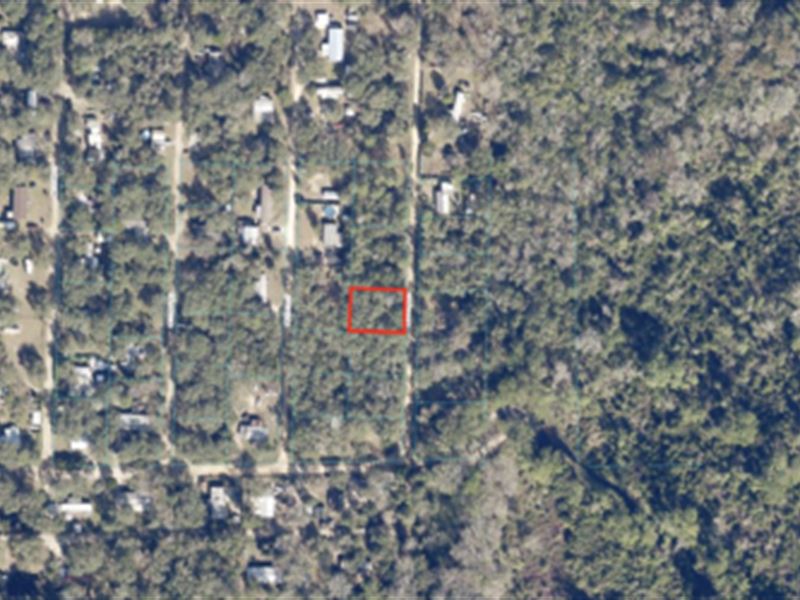 Vacant Silver Springs Home Lot : Silver Springs : Marion County : Florida