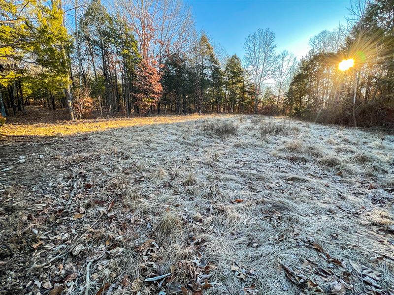 Needles Eye 80 : Mammoth Spring : Fulton County : Arkansas