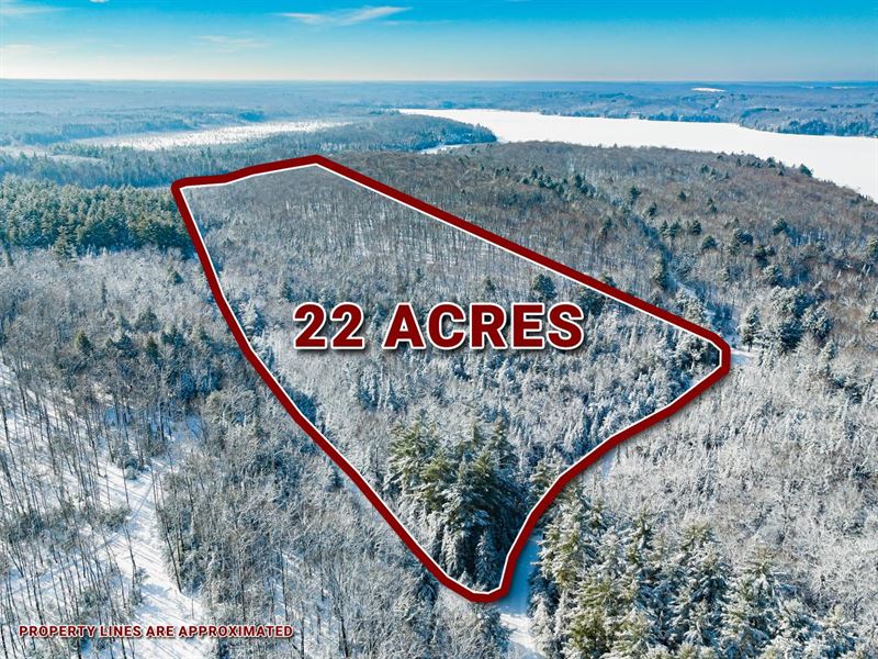 22 AC Between 2 Lakes : Phelps : Vilas County : Wisconsin