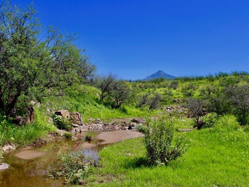 Sensational Salero Ranch : Rio Rico : Santa Cruz County : Arizona