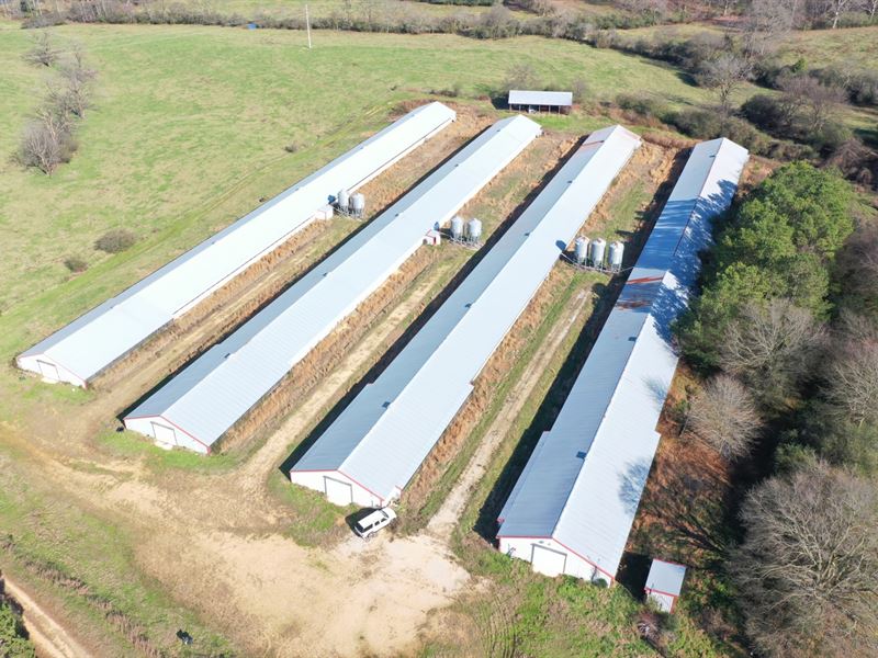 Vickery Farm : Hackleburg : Marion County : Alabama