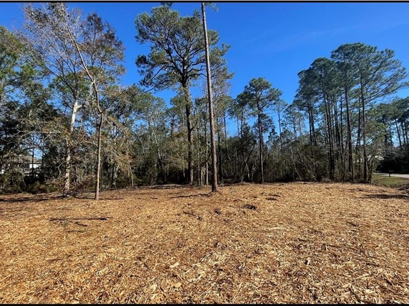 .54 Acre Lot in Harrison County : Pass Christian : Harrison County : Mississippi
