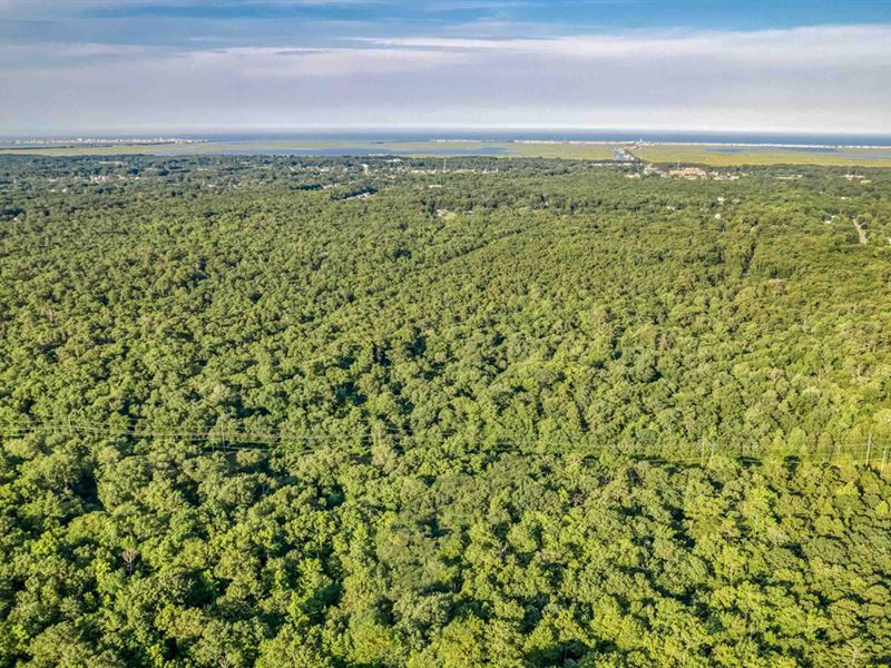 44K Sqft in Middle Twp, NJ : Middle Township : Cape May County : New Jersey
