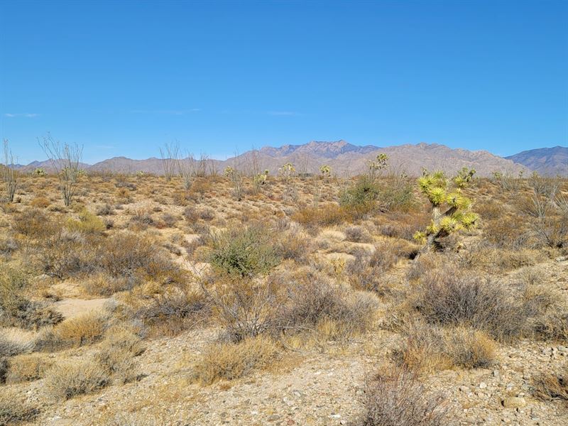 1.07 Ac with Gorgeous Mountain View : Yucca : Mohave County : Arizona